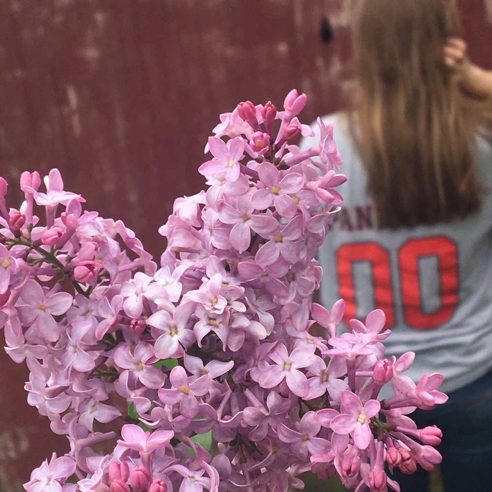 Meet your Posher, Hope